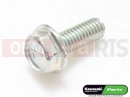 KAWASAKI 2018 5 pc - Screw