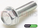 KAWASAKI 2011 5 pc - Screw