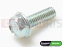 Screw