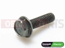 KAWASAKI 2007 5 pc - Screw