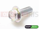 Screw