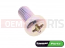 KAWASAKI 2011 10 pc - Screw