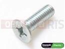KAWASAKI 2005 Screw (6X20)