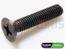 KAWASAKI 2004 5 db - Csavar (6x30)