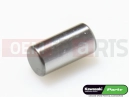 KAWASAKI 2010 Passstift