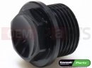 KAWASAKI 2017 Plug