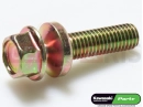 KAWASAKI 2017 Screw (8x25)