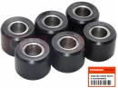 Variator Roll (16,5 g)