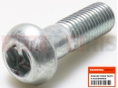 Screw