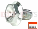 HONDA FJS400A9 SILVER WING 400 ABS 2009 Šroub (FR. AXLE)