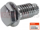 HONDA VT750C8 Shadow 2008 Screw