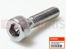 HONDA CTX1300 2016 Screw
