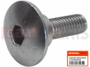 HONDA FJS600D3 ED SILVER WING 2003 Screw