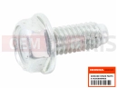 HONDA CTX1300A 2016 Screw