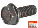 HONDA SH150i (SH150RC) 2012 Screw