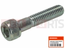 HONDA SES1503 Dylan 150 2003 Schraube