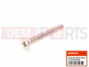 HONDA XR250RT XR250R 1996 Screw (6x45)