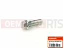 HONDA FJS400A9 SILVER WING 400 ABS 2009 Schraube