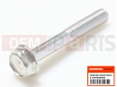 HONDA FJS400A9 SILVER WING 400 ABS 2009 Schraube