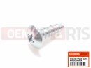 HONDA CBF1000FAB CBF1000F ABS 2011 Vis (4x12)