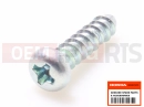 HONDA SES1252 Dylan 125 2002 Screw