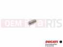 DUCATI 2020 Diavel 5 PC - Passstift