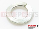 DUCATI 2001 Monster 600 5 db - Alátét (spring)