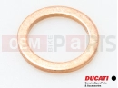 DUCATI 2023 Monster Plus Podkładka