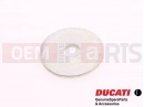 DUCATI 2018 Multistrada 950 5 pc - Rondelle