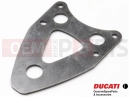 DUCATI 2015 Diavel PLATE