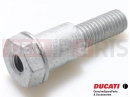 DUCATI 2017 XDiavel S AXLE, SIDE STAND