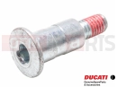 DUCATI 2016 Hyperstrada 939 Wkręt (lever / brake)