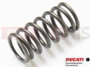 DUCATI 2010 Monster 1100 ABS Clutch spring