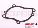 DUCATI 1991 907 I.E. Dichtung