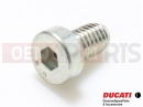 DUCATI 1995 Monster 900 5 pc - Vis