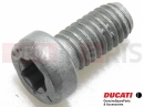 5 pc - Screw (M6x12)