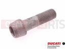 DUCATI 2016 Multistrada 1200 S Screw