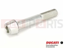 DUCATI 2016 Scrambler Classic Vis (M10x60)