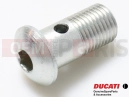 DUCATI 2002 Superbike 748 E Screw (spec)