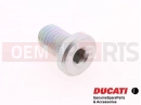 DUCATI 2025 Scrambler Icon Dark 2 pc - Vis