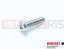 DUCATI 2008 Monster 400 5 pc - Screw