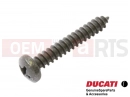 DUCATI 2003 Monster 400 5 pc - Screw