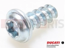DUCATI 2013 Diavel 5 db - SCREW, TAPPING 4.5X16