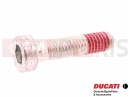 DUCATI 2017 Monster 797 5 pc - Screw