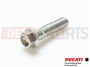 DUCATI 2013 Multistrada 1200 ABS 5 db - Csavar (M6x25)