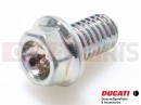 DUCATI 2006 Multistrada 1000 2 pc - Vis (M6x10)