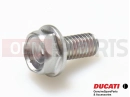 DUCATI 2008 Multistrada 1100 S 5 pc - Screw