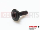 DUCATI 2014 Diavel Šroub (spec)