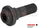 DUCATI 2011 Streetfighter Screw