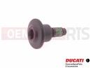 DUCATI 2013 Diavel WHITE STRIPE Screw